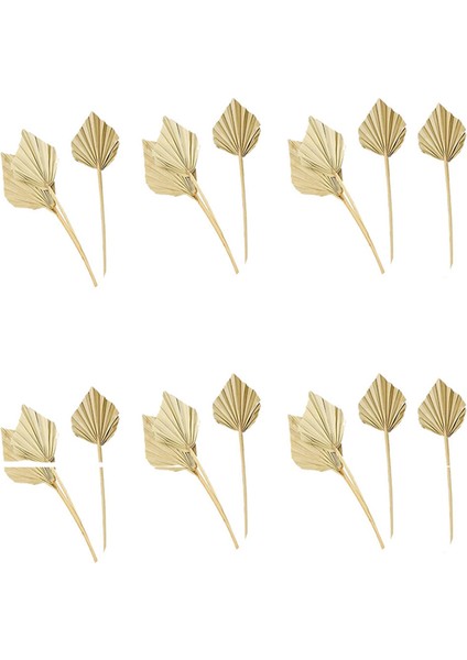 20 Adet Boho Kurutulmuş Palm Spears Doğal Kurutulmuş Palmiye Fanları Kurutulmuş Palmiye Yaprakları Kurutulmuş Palmiye Yaprağı Palmiye Yelpazesi Yaprağı Kök ile (Yurt Dışından)