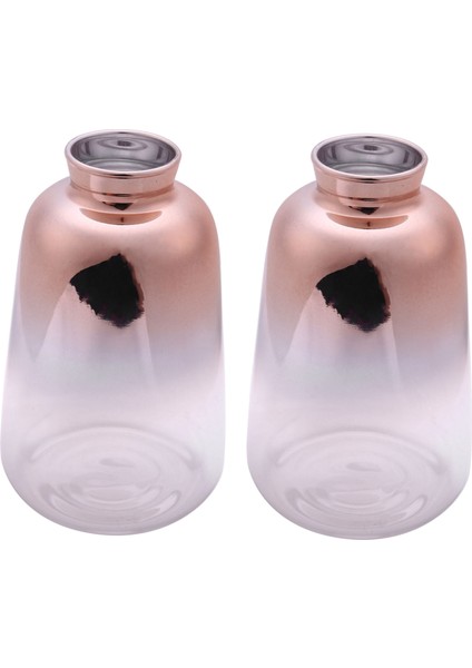 2x Cam Vazo Iskandinav Elektroliz Altın Vazo Cam Çiçek Vazolar Ev Için Kurutulmuş Çiçek Şişe Bar Dekorasyon (9X14 Cm) (Yurt Dışından)