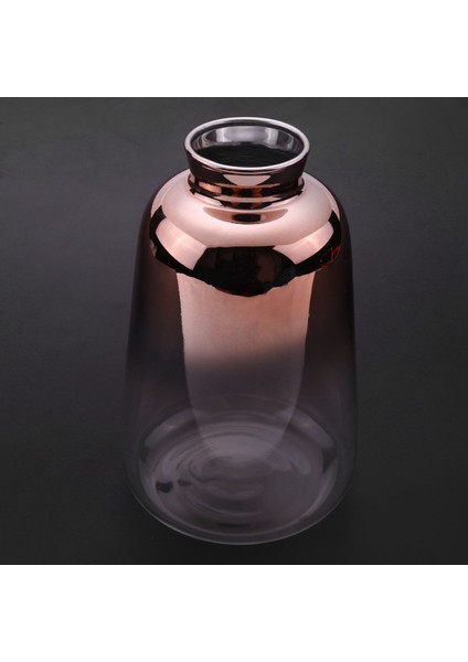 2x Cam Vazo Iskandinav Elektroliz Altın Vazo Cam Çiçek Vazolar Ev Için Kurutulmuş Çiçek Şişe Bar Dekorasyon (9X14 Cm) (Yurt Dışından) fiyatları