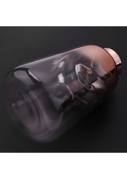 2x Cam Vazo Iskandinav Elektroliz Altın Vazo Cam Çiçek Vazolar Ev Için Kurutulmuş Çiçek Şişe Bar Dekorasyon (9X14 Cm) (Yurt Dışından) modelleri