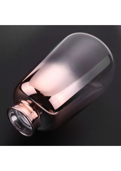 2x Cam Vazo Iskandinav Elektroliz Altın Vazo Cam Çiçek Vazolar Ev Için Kurutulmuş Çiçek Şişe Bar Dekorasyon (9X14 Cm) (Yurt Dışından) fırsatları