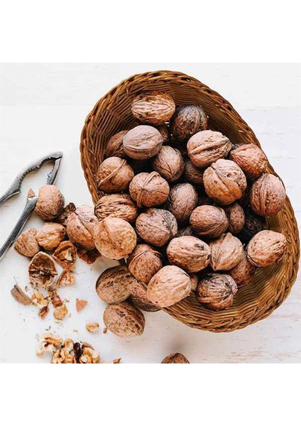 Hasır Dokuma Ekmek Sepeti Servis Sepeti 9'lu Set, Gıda Meyve Kozmetik Depolama Masa Üstü ve Banyo Için Depolama Sepeti (Yurt Dışından) fırsatları