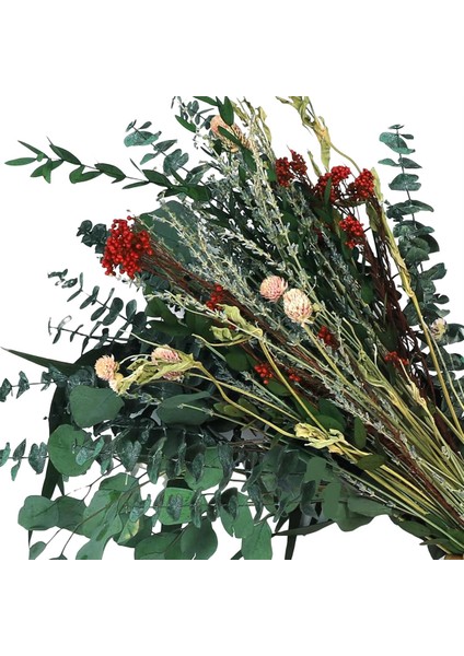 Duş Için 120 Adet Kurutulmuş Okaliptüs, Ev Dekorasyonu Için Saplı Okaliptüs, 17 Inç Duş Okaliptüs Asılı (Yurt Dışından)