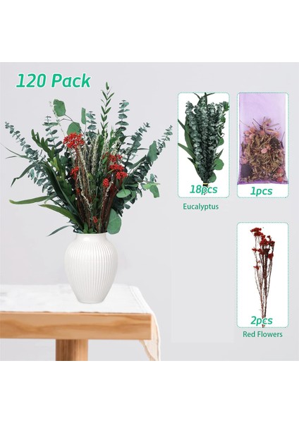 Duş Için 120 Adet Kurutulmuş Okaliptüs, Ev Dekorasyonu Için Saplı Okaliptüs, 17 Inç Duş Okaliptüs Asılı (Yurt Dışından) fırsatları