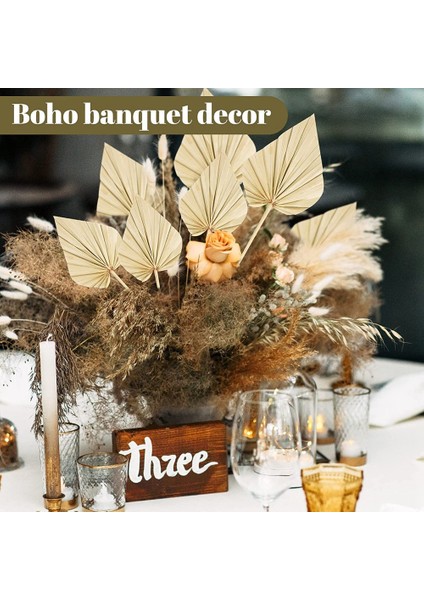 20 Adet Boho Kurutulmuş Palmiye Mızrak Yaprakları, Küçük Kurutulmuş Gerçek Palmiye Hayranları, Kök ile Kurutulmuş Palmiye Yaprakları Kurutulmuş Yaprak Dekor Vazo (Yurt Dışından)