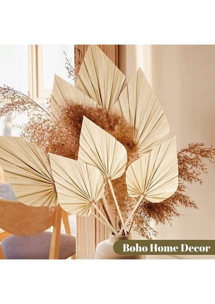 20 Adet Boho Kurutulmuş Palmiye Mızrak Yaprakları, Küçük Kurutulmuş Gerçek Palmiye Hayranları, Kök ile Kurutulmuş Palmiye Yaprakları Kurutulmuş Yaprak Dekor Vazo (Yurt Dışından)