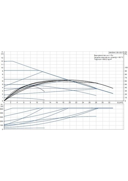 Magna1 50-120 F(280 Mm) 300-500.000 Kazan Için Frekans Konvertörlü Sirkülasyon Pompası 12MSS 32M³/H fiyatları