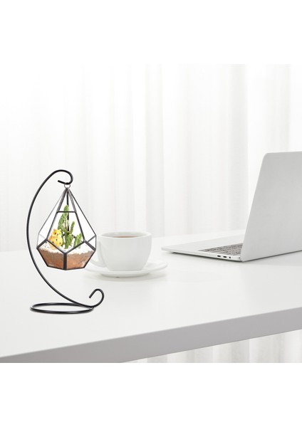 12 Paket Süs Ekran Standı Tutucu, Küre Hava Tesisi Asmak Için 9 Inç Boyunda Asılı Raf, Teraryum Tesisi, Biblo Ev Partisi Düğün El Sanatları Için Cadı Topu Standı (Yurt Dışından) indirimleri