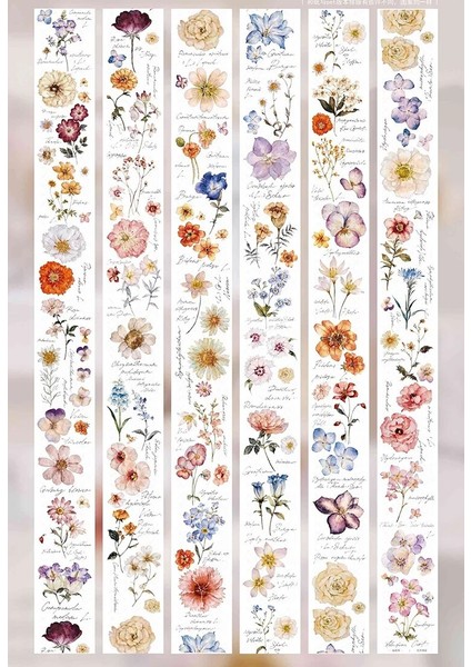 5 x 77CM Tarzı Mat Pet Örneği 1 Döngü Çil Çay Günlüğü Washi Bant Çiçek Ticareti Bahar Herald Çim Atlas Ono Pet (Yurt Dışından) modelleri