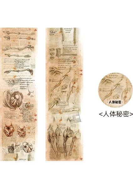 Bir Stil Journamm 5cm * 3m Vintage Washi Bantlar Scrapbooking Malzemeleri Önemsiz Dergi Yapışkanlı Dıy Albümü Okul Kırtasiye Dekoratif Bantlar (Yurt Dışından)