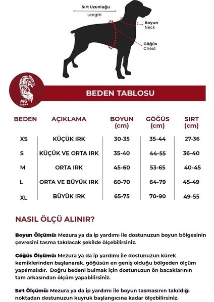 MG Tasma Kişiye Özel, Isimli Siyah French Bulldog Köpek Tasması, Göğüs ve Boyun Tasma Seti