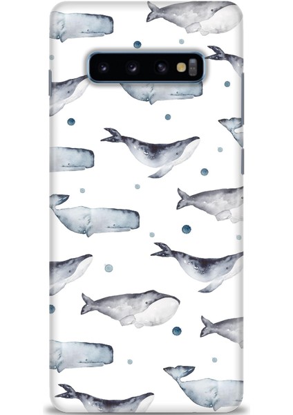 Samsung Galaxy S10 Plus Kılıf Hd Baskılı - Balinalar