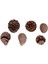 Kozalak 6'lı Paket 8 - 13 cm 3