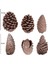 Kozalak 6'lı Paket 8 - 13 cm 4