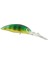 Pc-P Flatbellyshad 45F Perch 3