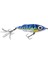 D. Spro Iris Flash Jerk 115 65G Mackerel Sahte Yem 2