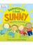 Pıcture Corgı Sometimes I Feel Sunny 1