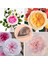 7 Adet Tarzı Yaratıcı Su Damlası Şekli Çiçek Yaprakları Şekil Kek Kesici Kalıp Paslanmaz Çelik Bisküvi Kalıp Sugarcraft Fondan Kek Dekor Araçları (Yurt Dışından) 3