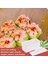8 Parça Musubi Yapımcısı Basın Kalıpları Yapışmaz Spam Musubi Yapımcısı Toksik Olmayan Suşi Yapma Seti Hawaii Spam Musubi Yapımcısı (Yurt Dışından) 3