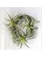 8 Paket Yapay Ananas Çim Hava Bitkileri Sahte Çiçekler Sahte Akın Tillandsia Bromeliads Ev Bahçe Dekor (Yurt Dışından) 2