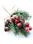 Kırmızı Berry Çam Dalları Dökmeyen Noel Meyveleri Kaynaklanıyor Dekor 8 Pcs Yapay Çam Kozalakları Şube Zanaat Çelenk Seçim (Yurt Dışından) 2