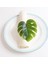 Monstera Peçete Halkaları 10'lu Set, Sahte Palmiye Ağacı Peçete Halkası, Masa Ayarı Için Yeşil Yaprak Peçete Tokaları Tutucu (Yurt Dışından) 5
