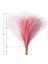 Pampas Çim Pembe 12 Adet 17.7 Inç, Sahte Pampas Çim Pembe Pampas Dekor, Yapay Pampas Çim Kısa Allık Düğün B (Yurt Dışından) 5