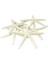 12PCS Beyaz Parmak Denizyıldızı 5-10CM Dekoratif Beş Parmak Denizyıldızı (Yurt Dışından) 1