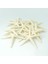 12PCS Beyaz Parmak Denizyıldızı 5-10CM Dekoratif Beş Parmak Denizyıldızı (Yurt Dışından) 4