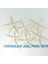 12PCS Beyaz Parmak Denizyıldızı 5-10CM Dekoratif Beş Parmak Denizyıldızı (Yurt Dışından) 5