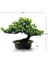 2x Yapay Japon Ardıç Bonsai Ağacı Yüksekliği 9.5 Inç Ev Ofis Kapalı Dekor Için (Yurt Dışından) 1