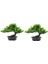 2x Yapay Japon Ardıç Bonsai Ağacı Yüksekliği 9.5 Inç Ev Ofis Kapalı Dekor Için (Yurt Dışından) 2