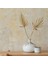 20 Adet Boho Kurutulmuş Palm Spears Doğal Kurutulmuş Palmiye Fanları Kurutulmuş Palmiye Yaprakları Kurutulmuş Palmiye Yaprağı Palmiye Yelpazesi Yaprağı Kök ile (Yurt Dışından) 1