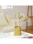 20 Adet Boho Kurutulmuş Palm Spears Doğal Kurutulmuş Palmiye Fanları Kurutulmuş Palmiye Yaprakları Kurutulmuş Palmiye Yaprağı Palmiye Yelpazesi Yaprağı Kök ile (Yurt Dışından) 4