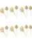 20 Adet Boho Kurutulmuş Palm Spears Doğal Kurutulmuş Palmiye Fanları Kurutulmuş Palmiye Yaprakları Kurutulmuş Palmiye Yaprağı Palmiye Yelpazesi Yaprağı Kök ile (Yurt Dışından) 5