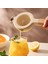 Manuel Pres Sıkacağı Metal Meyve Suyu Sıkacağı Mini Meyve Suyu Gıda Blender Taşınabilir Limon Sıkacağı Uygun Meyve Suyu Sıkacağı (Yurt Dışından) 5