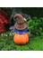 Güz Cüceler Heykeli Dekor, Sgiving Gnome Kabak Gnome Beyaz Sakal Gnome Heykeli Güz Kabak Peri Heykeli Reçine Deco (Yurt Dışından) 4