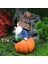 Güz Cüceler Heykeli Dekor, Sgiving Gnome Kabak Gnome Beyaz Sakal Gnome Heykeli Güz Kabak Peri Heykeli Reçine Deco (Yurt Dışından) 5