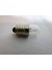 18V 100MA 9X23 E10 Küçük Vidalı Ampul. 10 Ad. 2