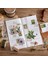 2-E Stili 25MM Geniş Posta Pulu Washi Bantlar Scrapbooking Için Dekoratif Çıkartmalar Dıy Sanatlar El Sanatları Albümü Takvimler (Yurt Dışından) 4