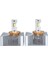 Led far ampulü D5S/R 70W 16000LM 6000K Beyaz CANBUS 12V / LAAM928-tk 1