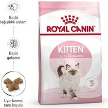 Royal Canin Kitten 36 Yavru Kedi Maması 4kg