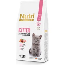 Nutri Feline Glutensiz Somonlu Düşük Tahıllı Yavru Kedi Maması 10KG