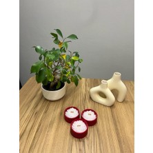 Bumbum Handmade Mum 3'Lü Özel Tasarım El Yapımı Lotus Çicekli Mum Handmade Vanilya Kokulu