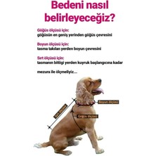 Miniş Çivit Saç Örgülü Küçük Köpek Kazağı