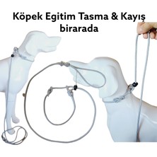 VSLT Handmade Stoperli Eğitim Tasma Kayış Bir Arada Köpek Eğitim Kayışı