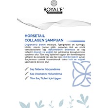 Royale Professional Saç Mayonezi ve Horsetail Collagen Şampuan Set