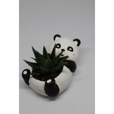 Cactus Garden Panda Saksı + Canlı Bitki