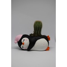 Cactus Garden Penguen Saksı +Canlı Sukulent Bitki