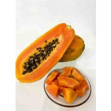 Elit Agro Papaya 2 Adet (Ağaç Kavunu)